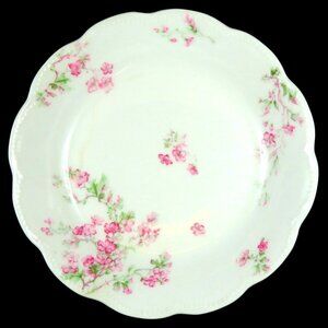 Haviland Limoges Schleiger 58A Coupe Soup Bowl 7.5" France Pink Roses